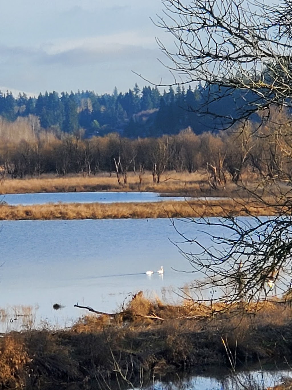 Salmon Creek Greenway Trail | Vancouver, WA 98685, USA | Phone: (360) 397-2000