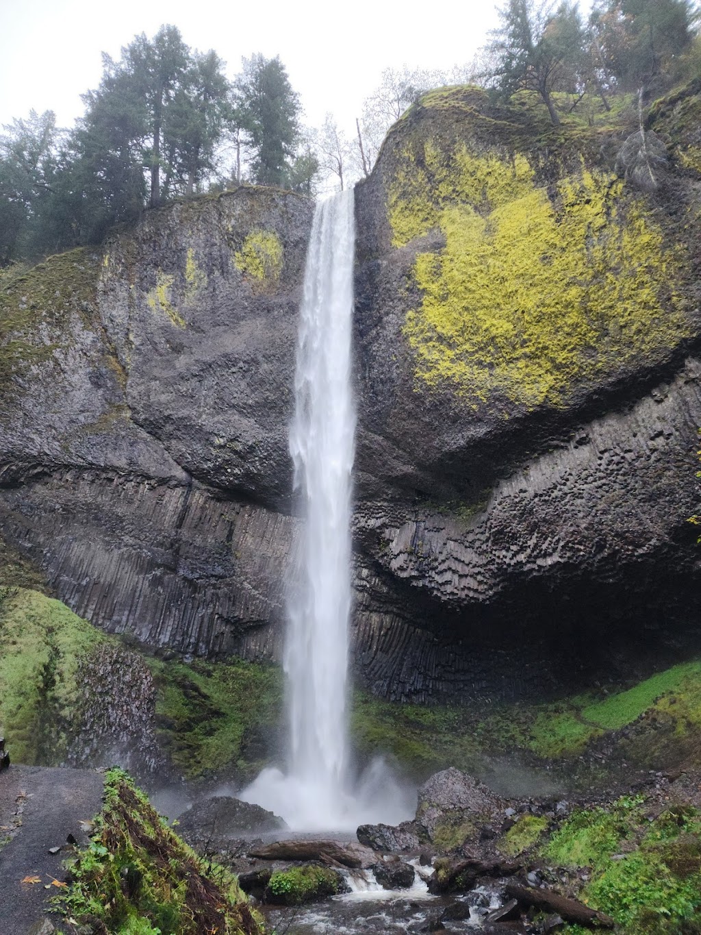 Guy W. Talbot State Park | Historic Columbia River Hwy, Corbett, OR 97019, USA | Phone: (800) 551-6949