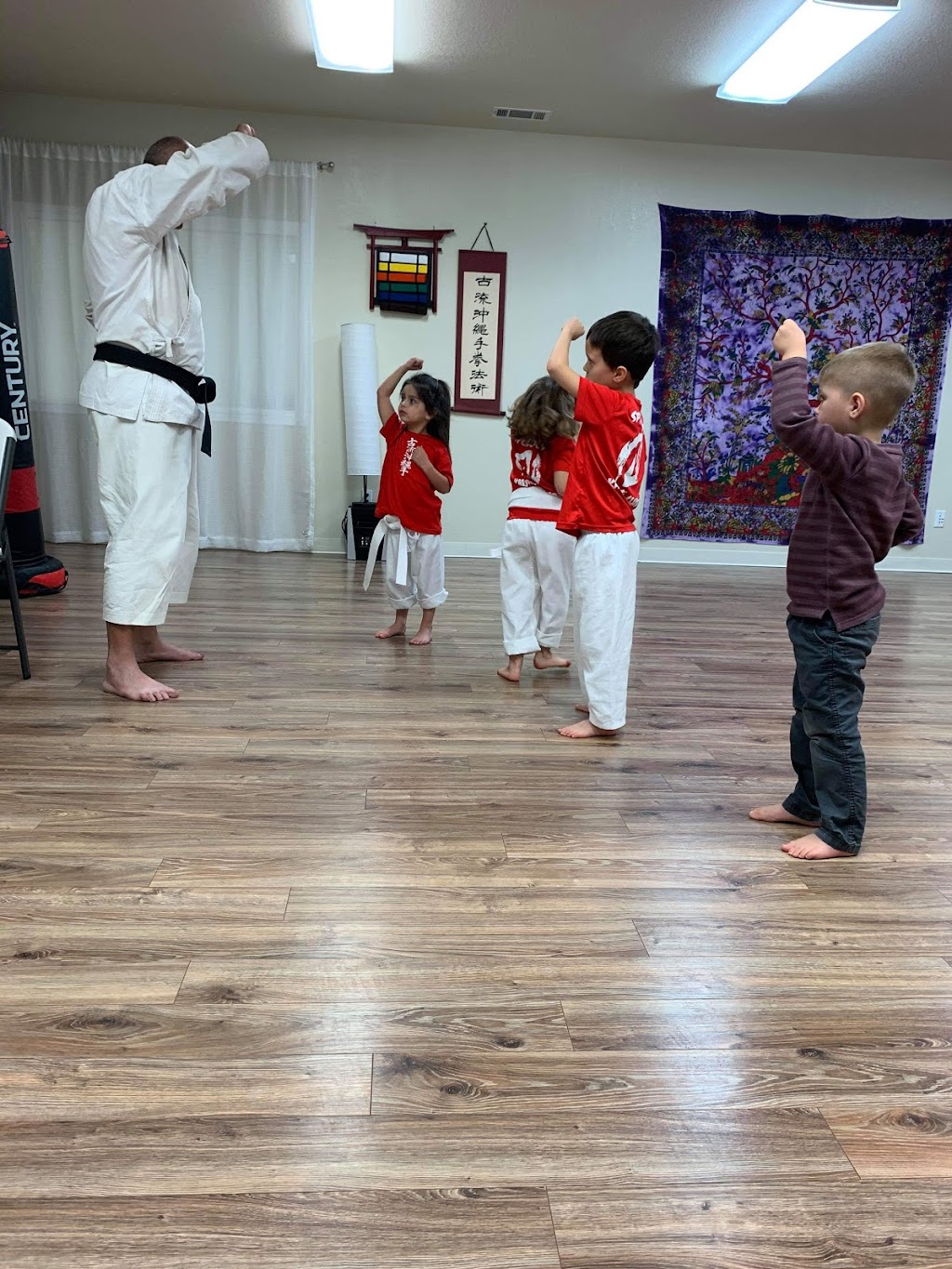 Spicewood Karate Club | 5004 Bee Creek Rd #400, Spicewood, TX 78669, USA | Phone: (512) 789-5603