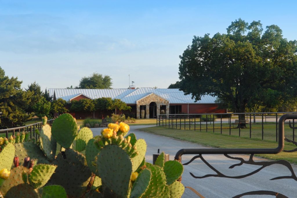 Equine Sports Medicine, LLC | 8386 Farm to Market 455 E, Pilot Point, TX 76258, USA | Phone: (940) 465-4466