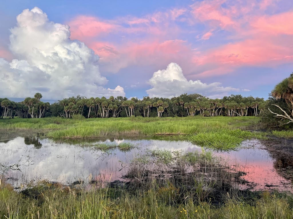 Myakka River State Park | Sarasota, FL 34241, USA | Phone: (941) 361-6511