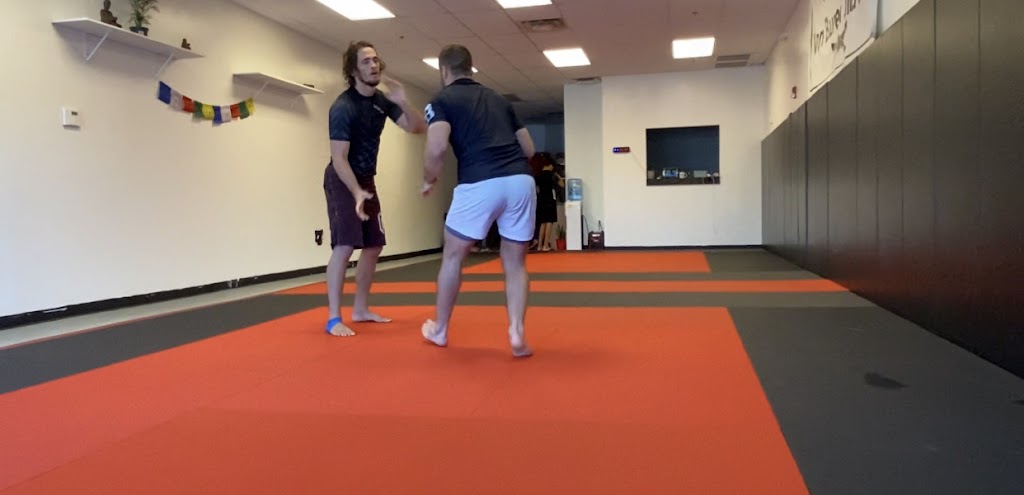 Van Buren Jiu Jitsu Chandler | 1020 E Pecos Rd #5, Chandler, AZ 85225, USA | Phone: (480) 435-2131