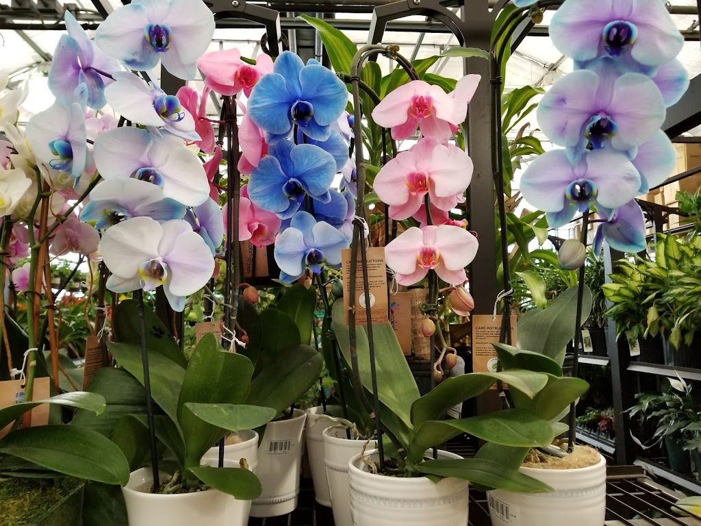 Lowes Garden Center | Hempfield Square, Lincoln Hwy, Greensburg, PA 15601, USA | Phone: (724) 853-6950