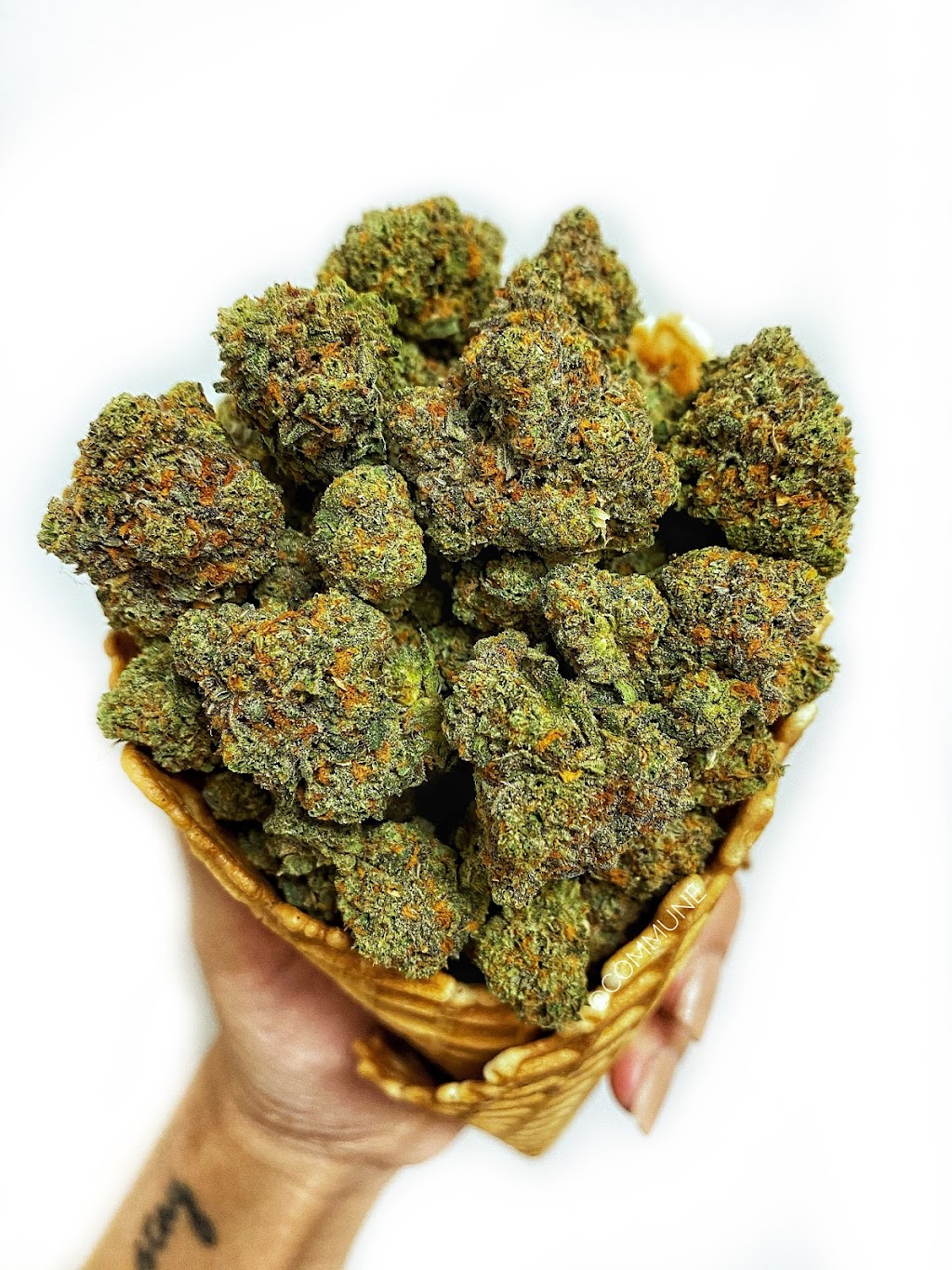 Commune Cooperative | 2822 Willis St, Santa Ana, CA 92705, USA | Phone: (949) 208-0768