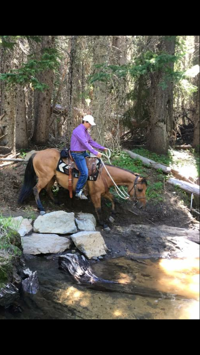 Cornerstone Horsemanship | 610 NW 289th St, Ridgefield, WA 98642, USA | Phone: (360) 600-9566