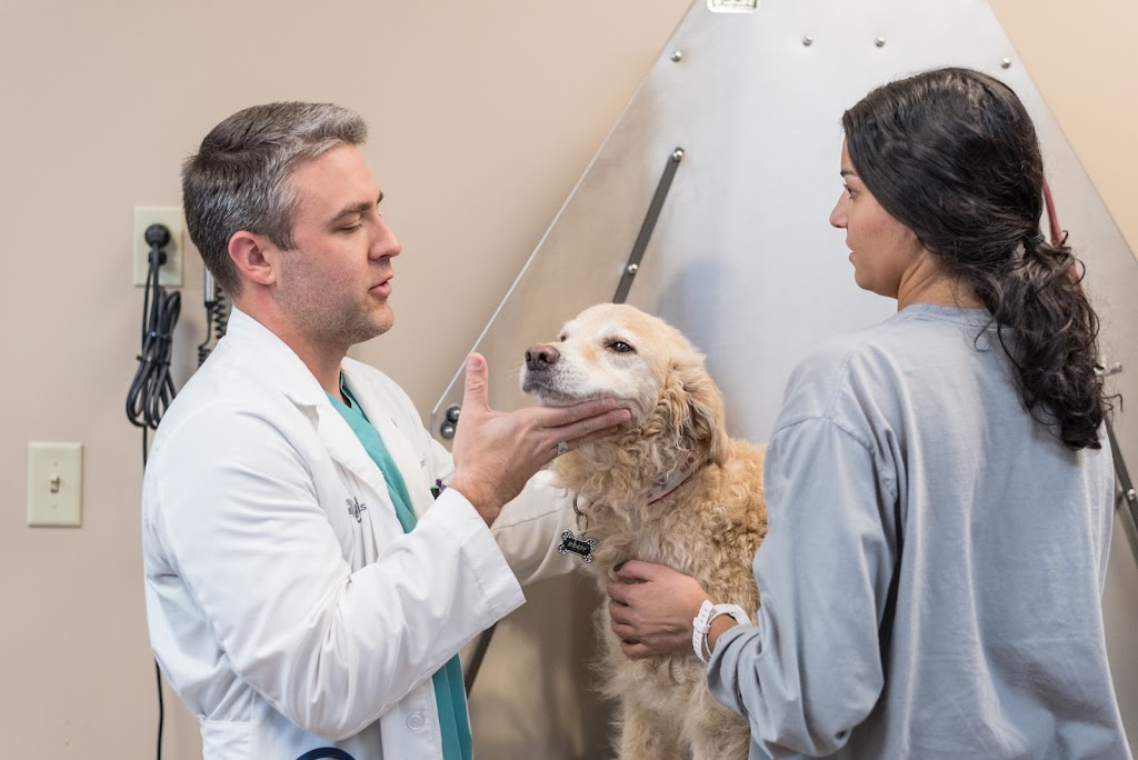 The Pet Hospitals Germantown | 9947 Wolf River Blvd #104, Germantown, TN 38139, USA | Phone: (901) 850-7330