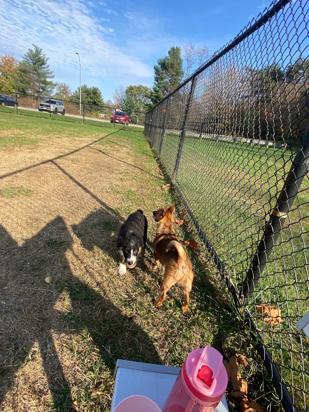 Overlook Dog Park | 100 Governors Gate Ln, Linthicum Heights, MD 21090, USA | Phone: (410) 222-7317