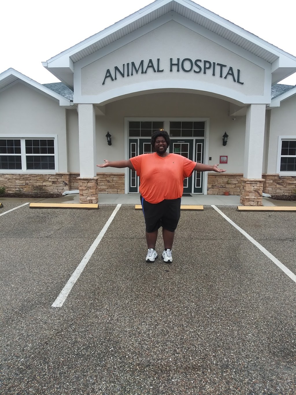 San Antonio Animal Hospital | Photo 3 of 10 | Address: 32347 State Rd 52, San Antonio, FL 33576, USA | Phone: (352) 588-2132