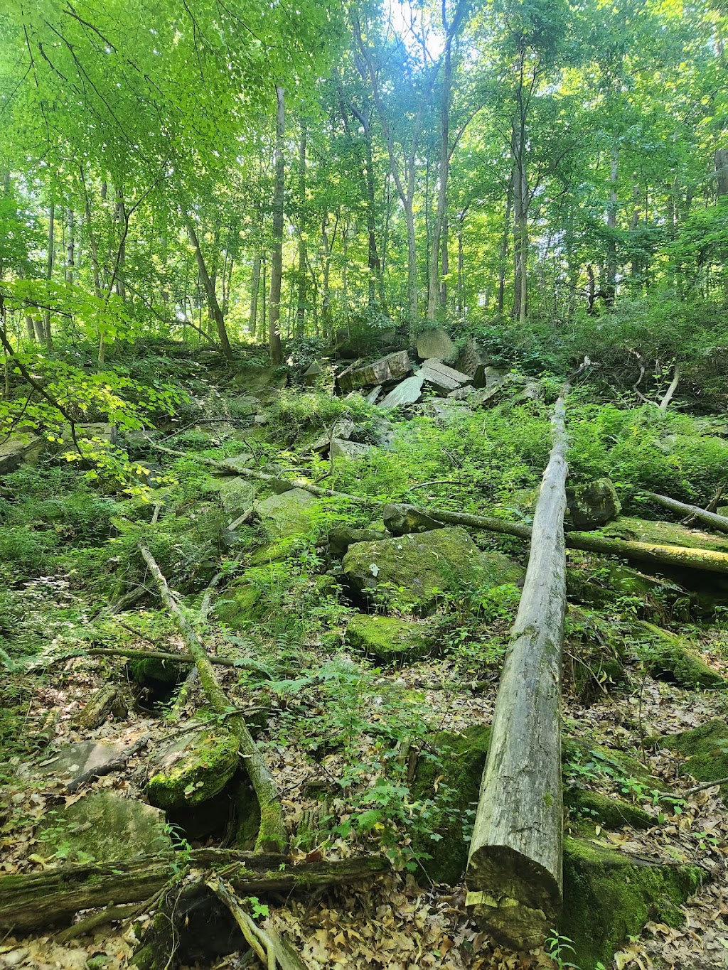 Edison Woods MetroPark | 10186 Ceylon Rd, Berlin Heights, OH 44814, USA | Phone: (419) 625-7783