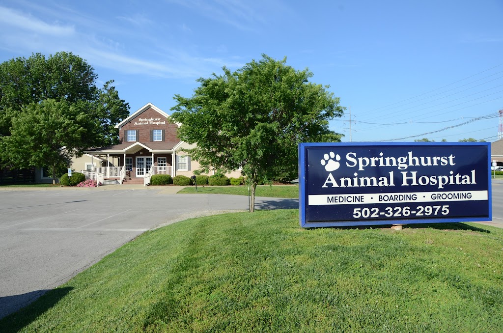 Springhurst Animal Hospital | 9909 Brownsboro Rd, Louisville, KY 40241 | Phone: (502) 326-2975