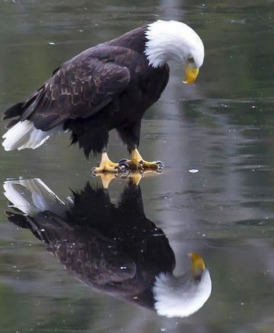 Veteran Shredding | 1800 Cliff Rd E #9, Burnsville, MN 55337, USA | Phone: (952) 758-2980