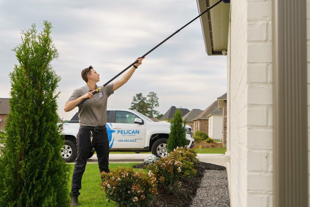 Pelican Pest Control | 17485 Opportunity Ave Building 2, Suite F, Baton Rouge, LA 70817 | Phone: (225) 424-2623