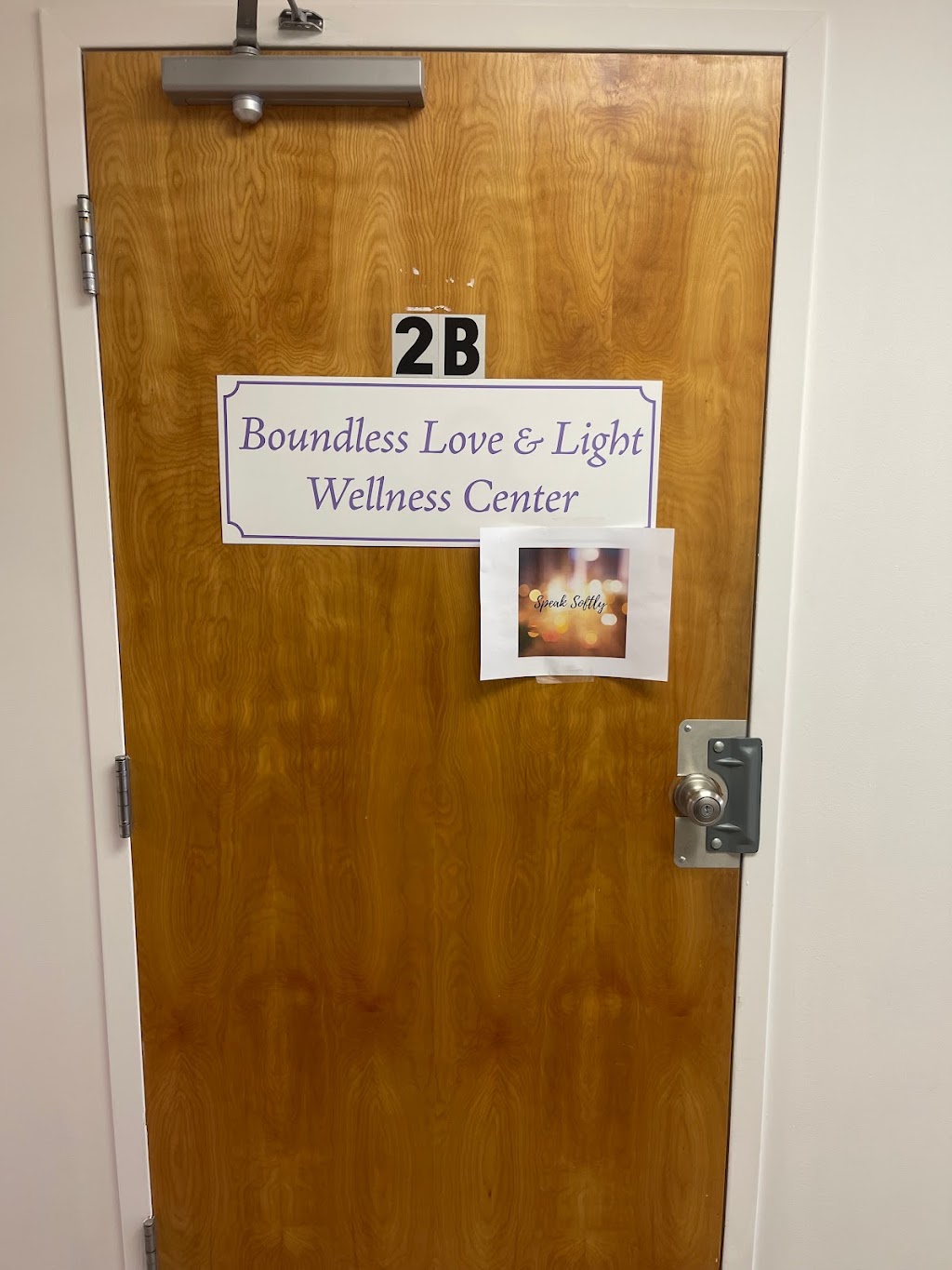 Boundless Love and Light Wellness Center | Mailbox #7, 170 Township Line Rd Building B, Hillsborough Township, NJ 08844, USA | Phone: (908) 328-2112