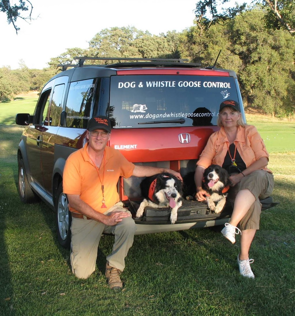 Dog & Whistle Goose Control | 1431 Merry Knoll Rd, Auburn, CA 95603, USA | Phone: (530) 823-3628