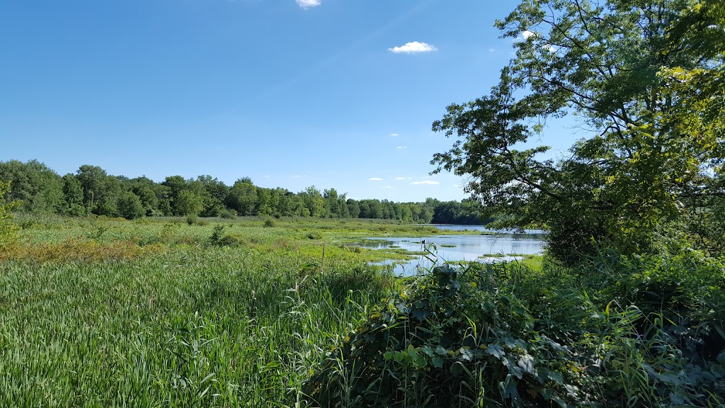 The Celery Farm | Franklin Turnpike, Allendale, NJ 07401, USA | Phone: (201) 818-4400