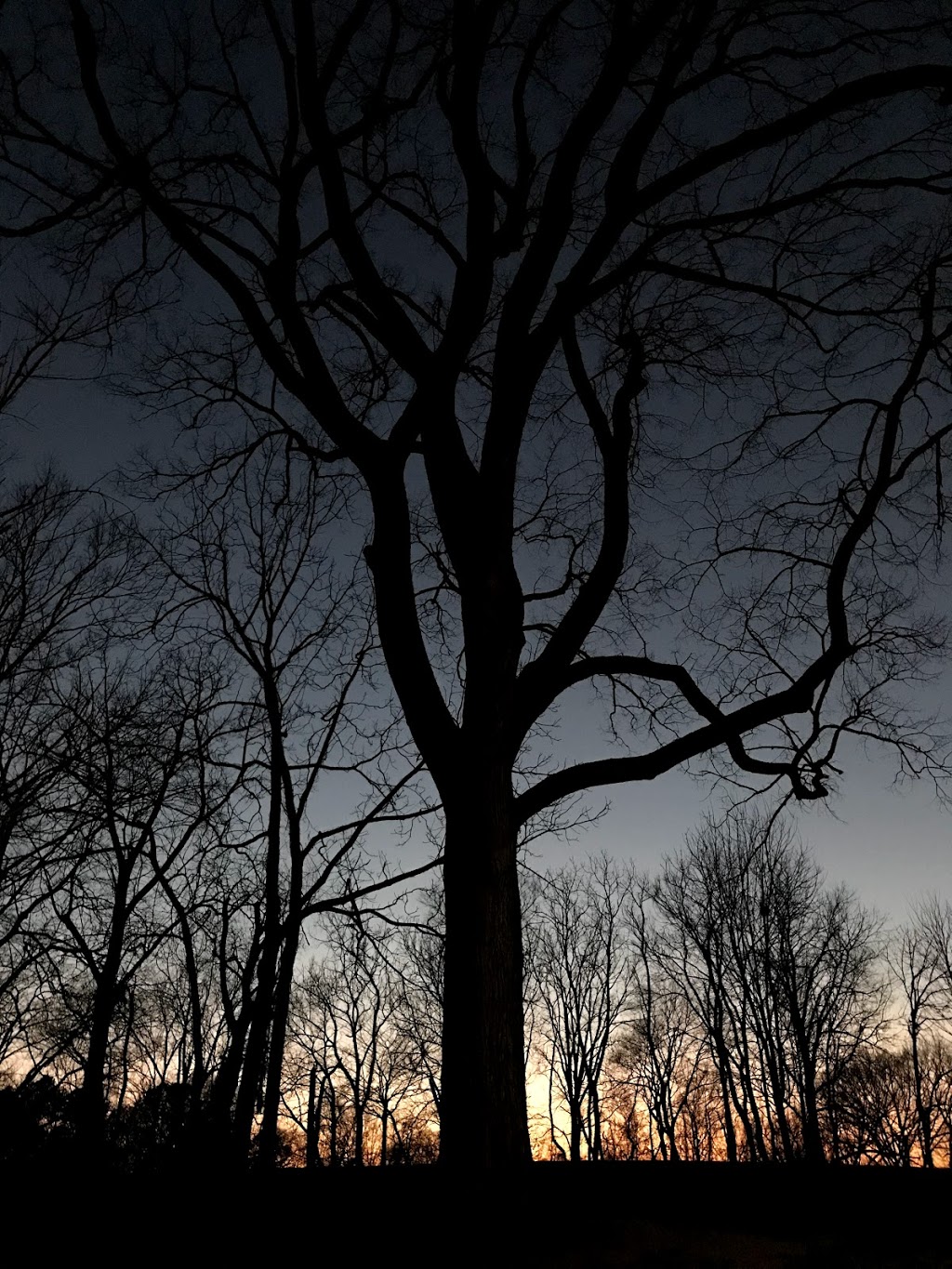 Concord Park | 8109 Concord Rd, Brentwood, TN 37027, USA | Phone: (615) 371-0080