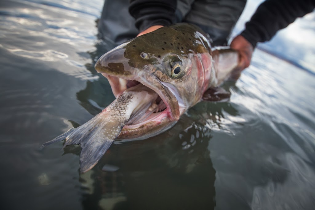 Pyramid Fly Company | 30605 Sutcliffe Dr, Reno, NV 89510, USA | Phone: (877) 732-3597