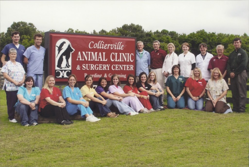 Collierville Animal Clinic | 474 US-72, Collierville, TN 38017, USA | Phone: (901) 853-8519