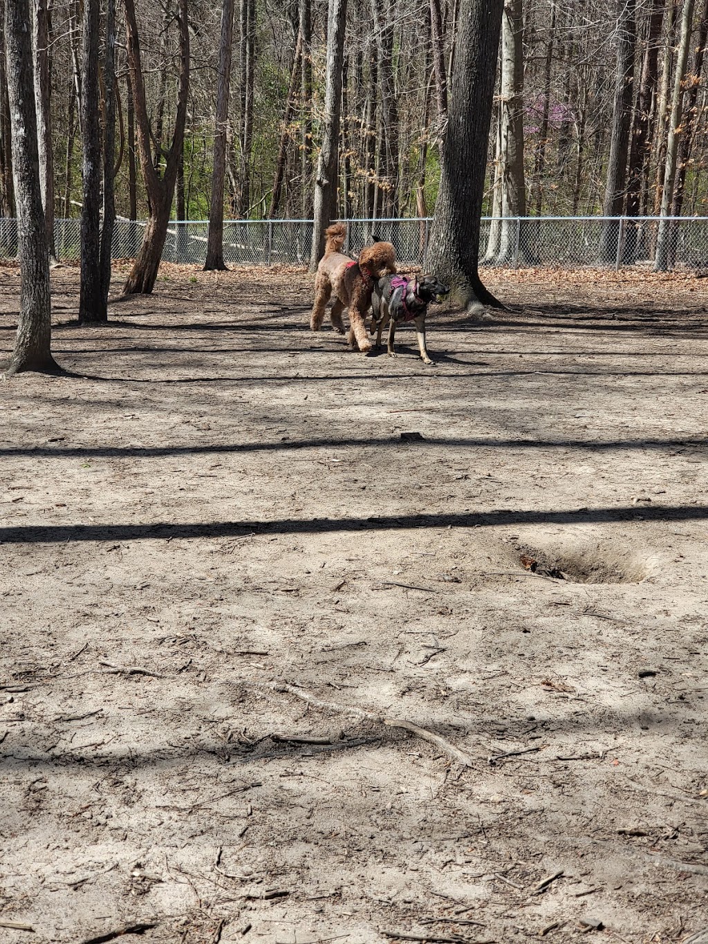 Griffin Dog Park | Greensboro, NC 27407, USA | Phone: (336) 373-2558