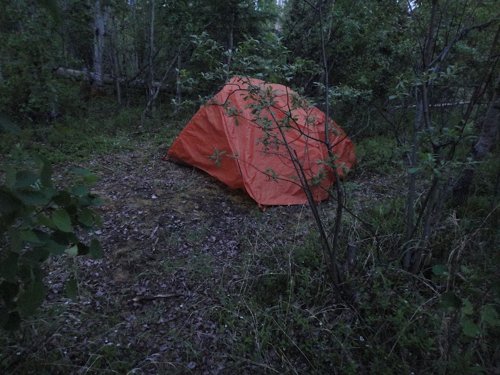 Juneau Creek Falls Campground | N 60° 30’ 42” W 149° 54’ 08”, Cooper Landing, AK 99572, USA | Phone: (907) 224-3374