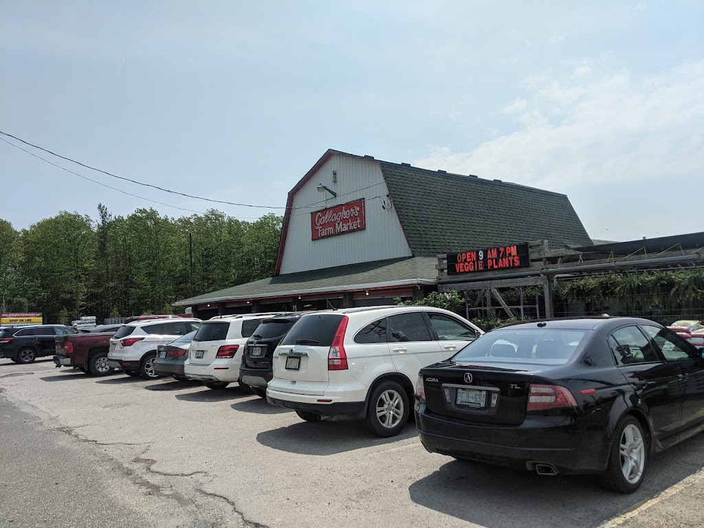 Gallaghers Farm Market | 346 Hwy 20 W, Fenwick, ON L0S 1C0, Canada | Phone: (905) 892-0698