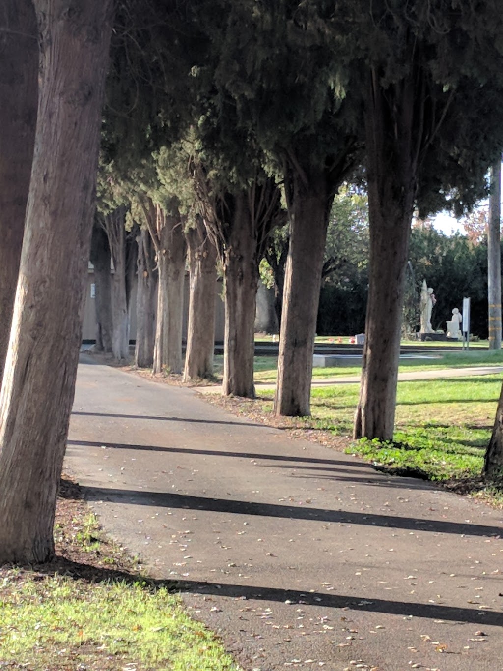 Woodland Cemetery | 800 West St, Woodland, CA 95695, USA | Phone: (530) 661-5887