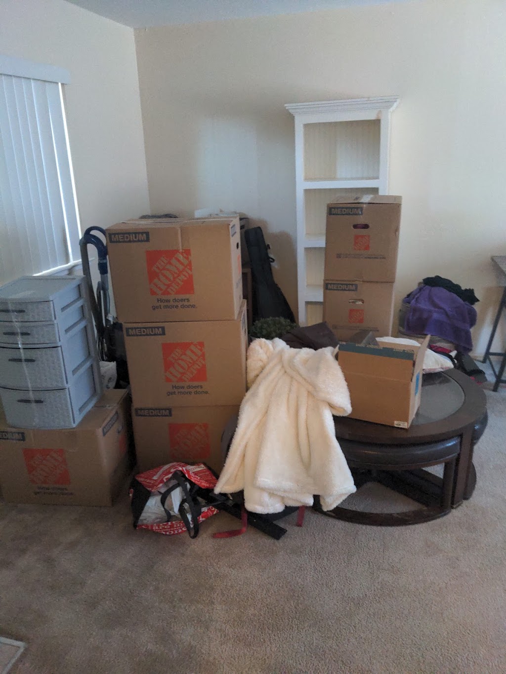 Everything Goes Movers | 2297 Peachtree Ln, San Jose, CA 95128, USA | Phone: (408) 580-6096