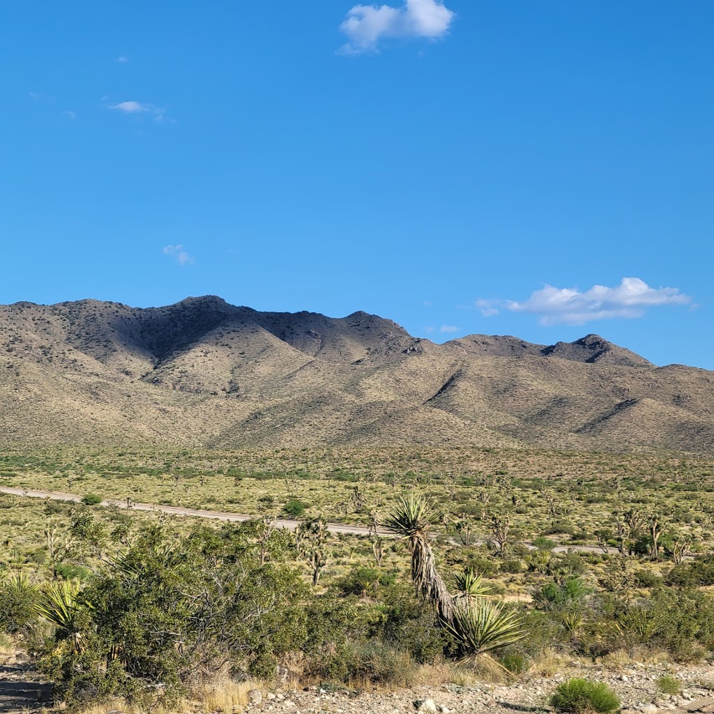 Mount Tipton Wilderness Area | Dolan Springs, AZ 86441, USA | Phone: (928) 718-3700