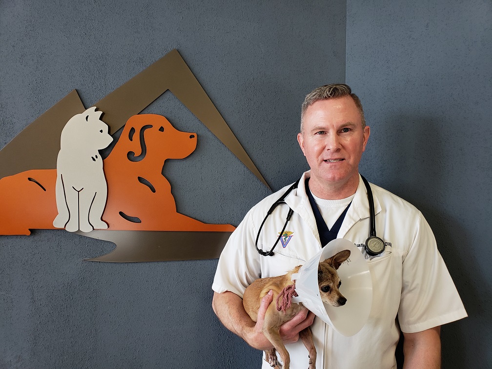 Vistancia Animal Hospital | 28570 N El Mirage Rd #104, Peoria, AZ 85383, USA | Phone: (623) 888-8108