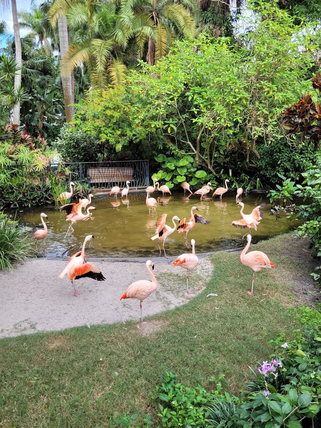 Sunken Gardens | 1825 4th St N, St. Petersburg, FL 33704, USA | Phone: (727) 551-3102