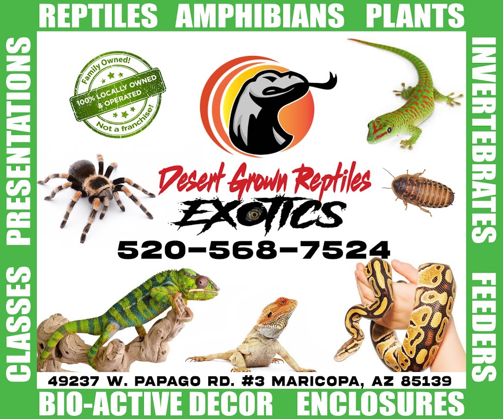 Desert Grown Reptiles & Exotics | 49237 W Papago Rd #3, Maricopa, AZ 85139, USA | Phone: (520) 568-7524