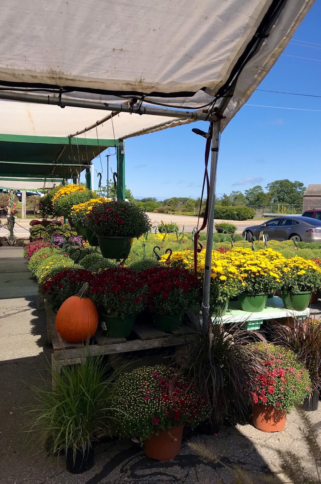 Artery Garden Center | 625 Southern Artery, Quincy, MA 02169 | Phone: (617) 786-0317