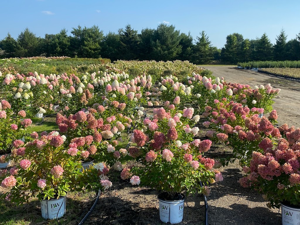 Maple Lane Nursery | 3025 US-9, Valatie, NY 12184, USA | Phone: (518) 758-7677