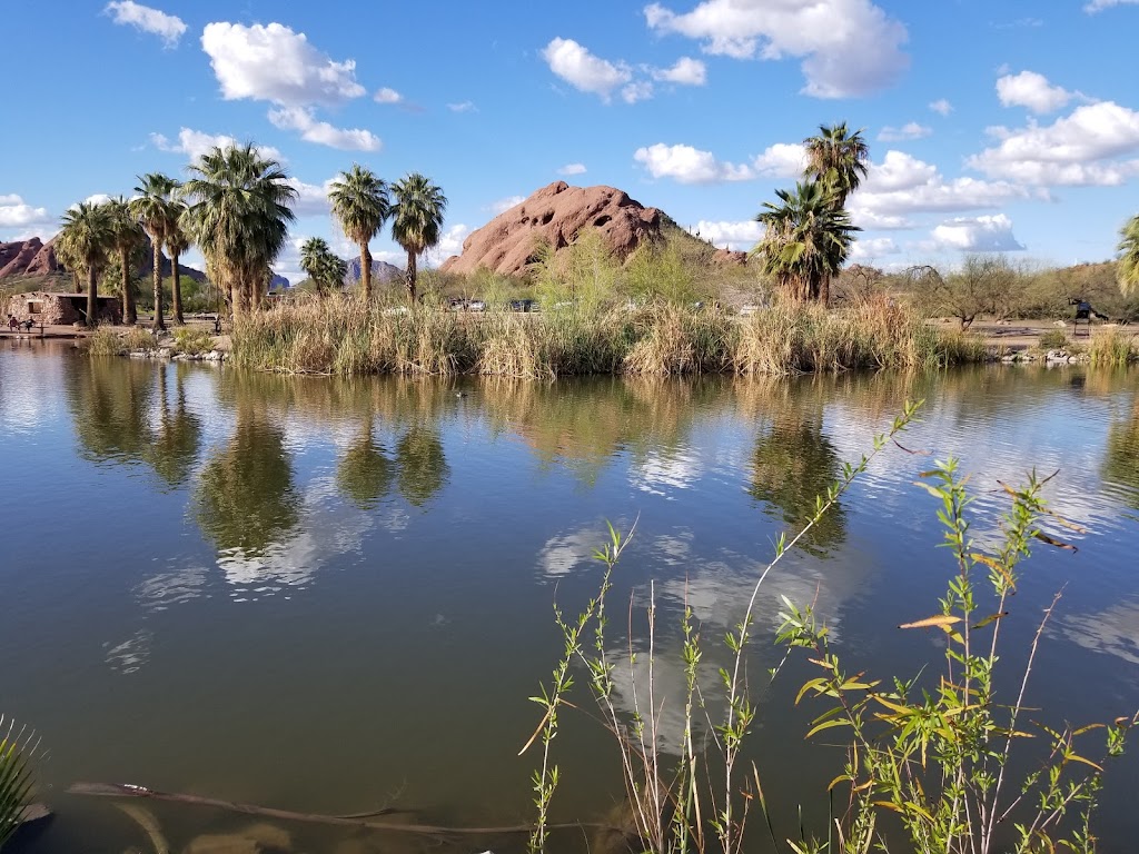 Friendship Pet Hospital | 11679 N Saguaro Blvd, Fountain Hills, AZ 85268 | Phone: (480) 889-0881