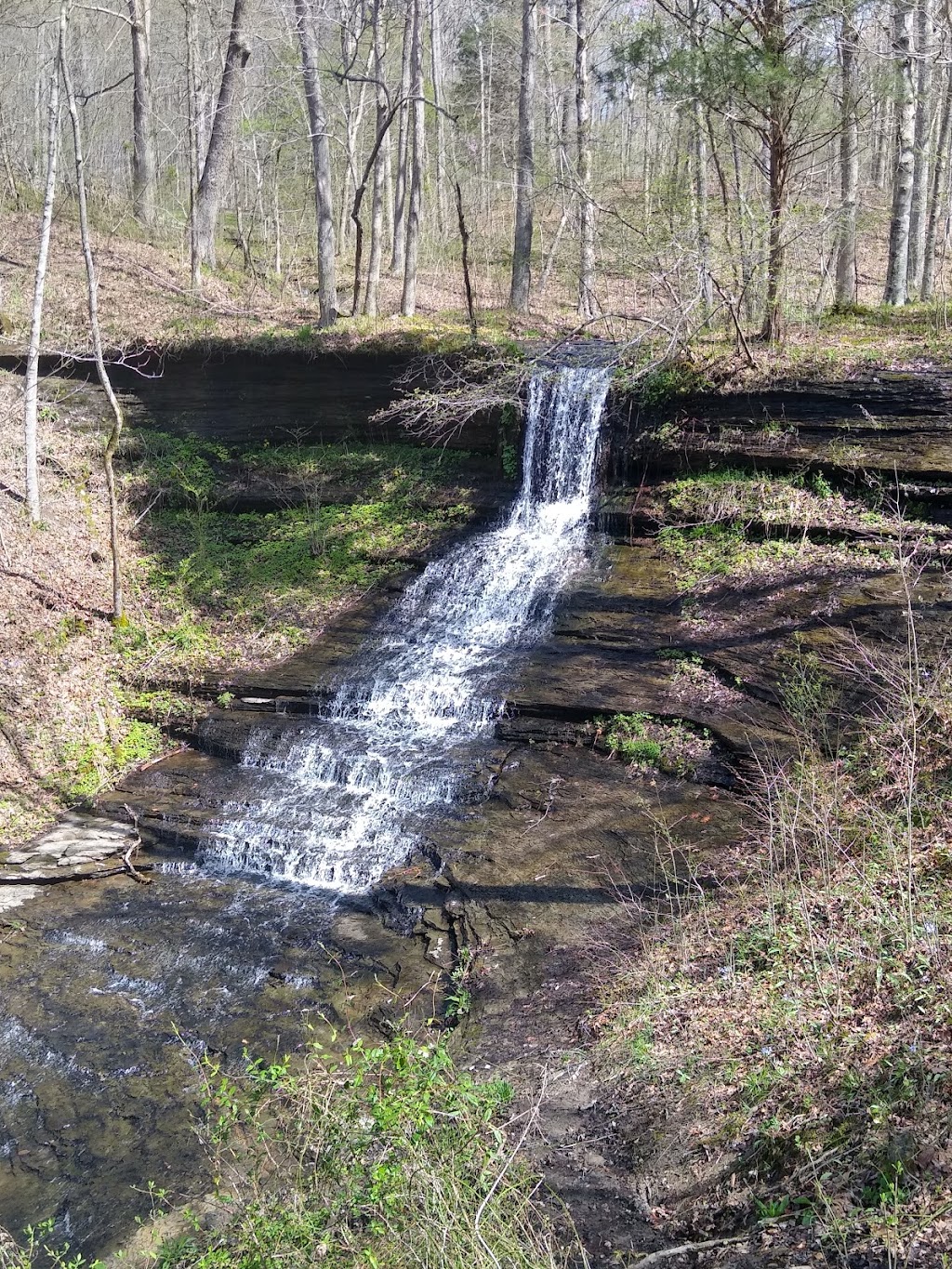 Natchez Trace National Scenic Trail | Garrison Creek Trail, Franklin, TN 37064, USA | Phone: (662) 680-4025