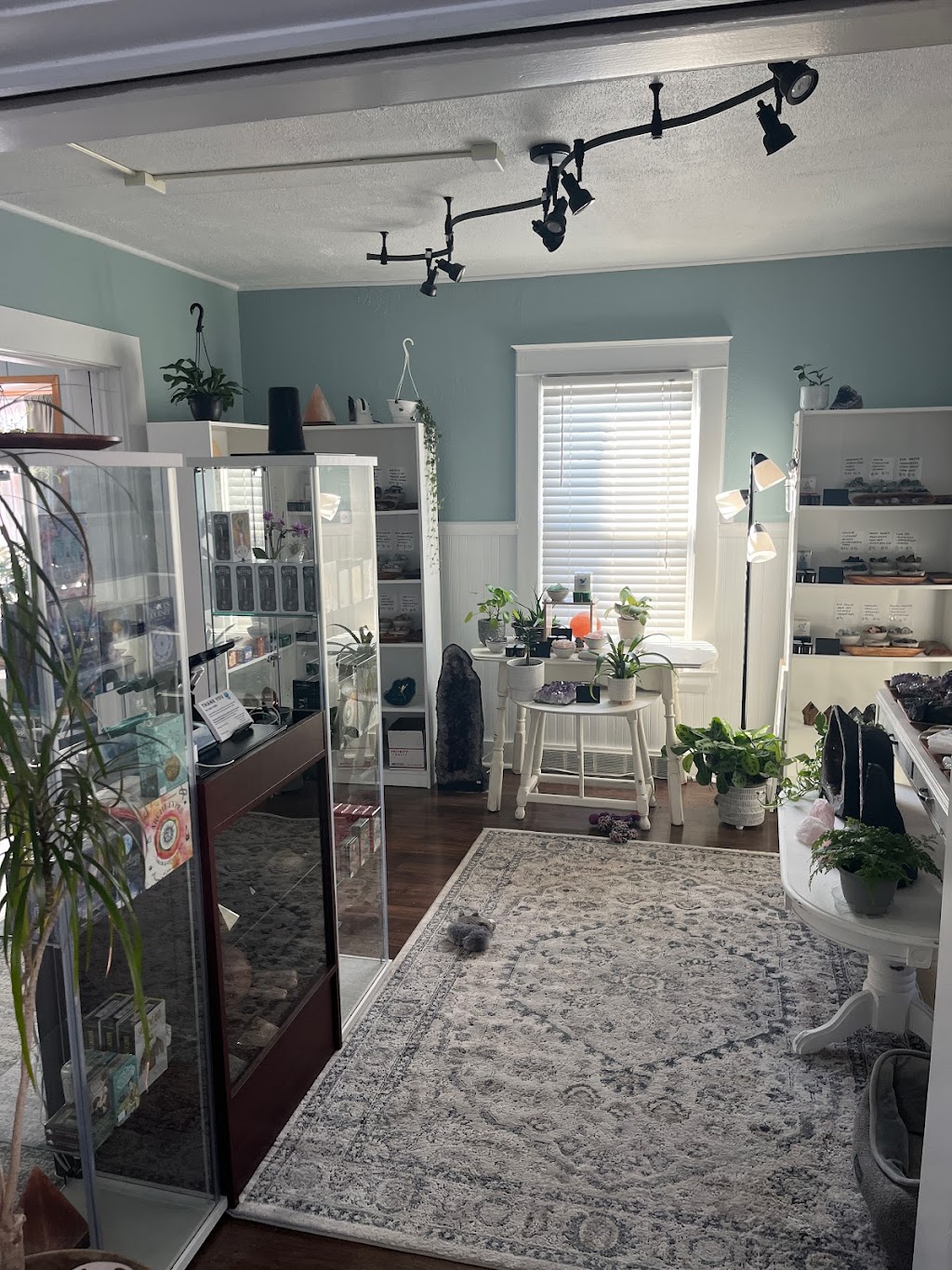 Spiritual Phoenix Studios | 545 Churchill Rd, Girard, OH 44420, USA | Phone: (330) 333-0023