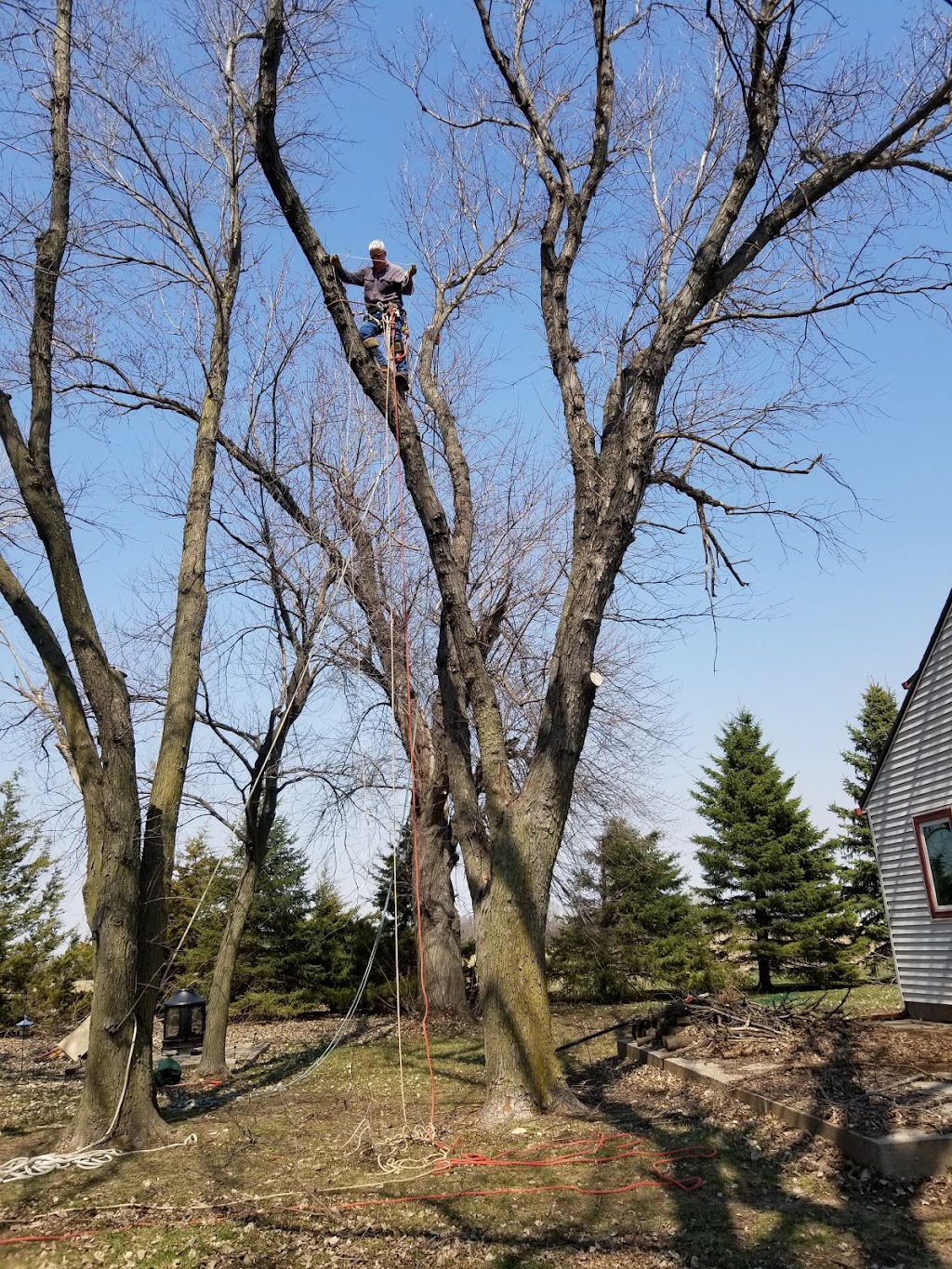 Blairs Tree Service Excavating and Repair | 11697 County, Rd P26, Blair, NE 68008 | Phone: (402) 533-3763