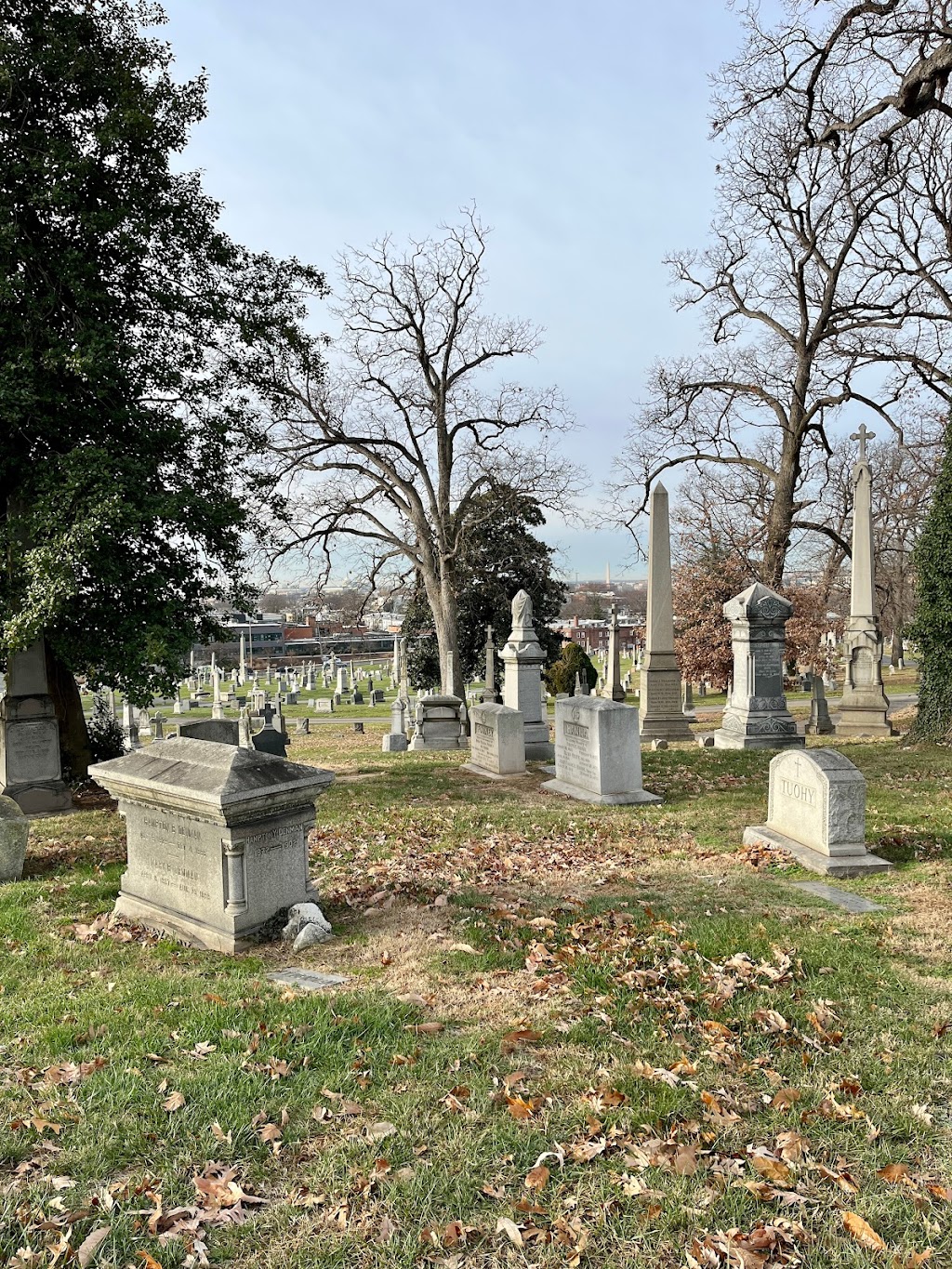 Mount Olivet Cemetery | 1300 Bladensburg Rd NE, Washington, DC 20002, USA | Phone: (202) 399-3000