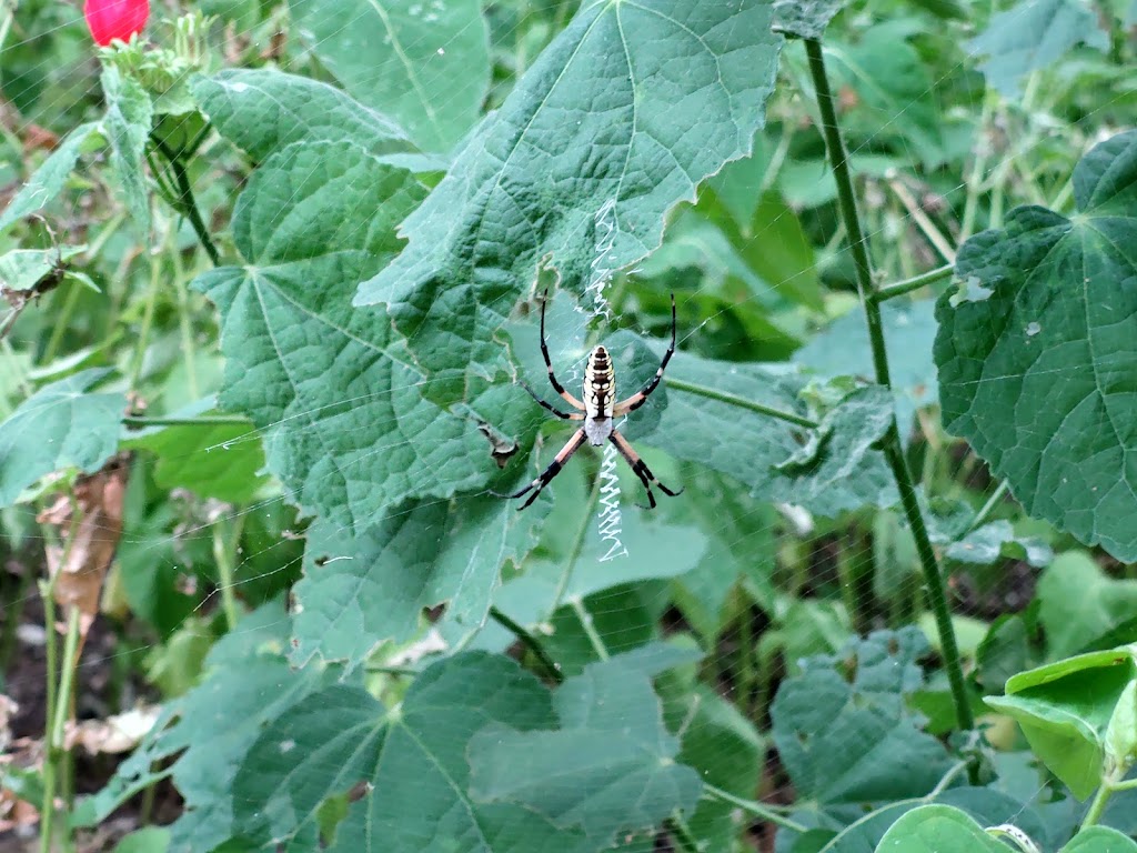 Stone Park | 810 N Edgefield Ave, Dallas, TX 75208, USA | Phone: (214) 670-4100