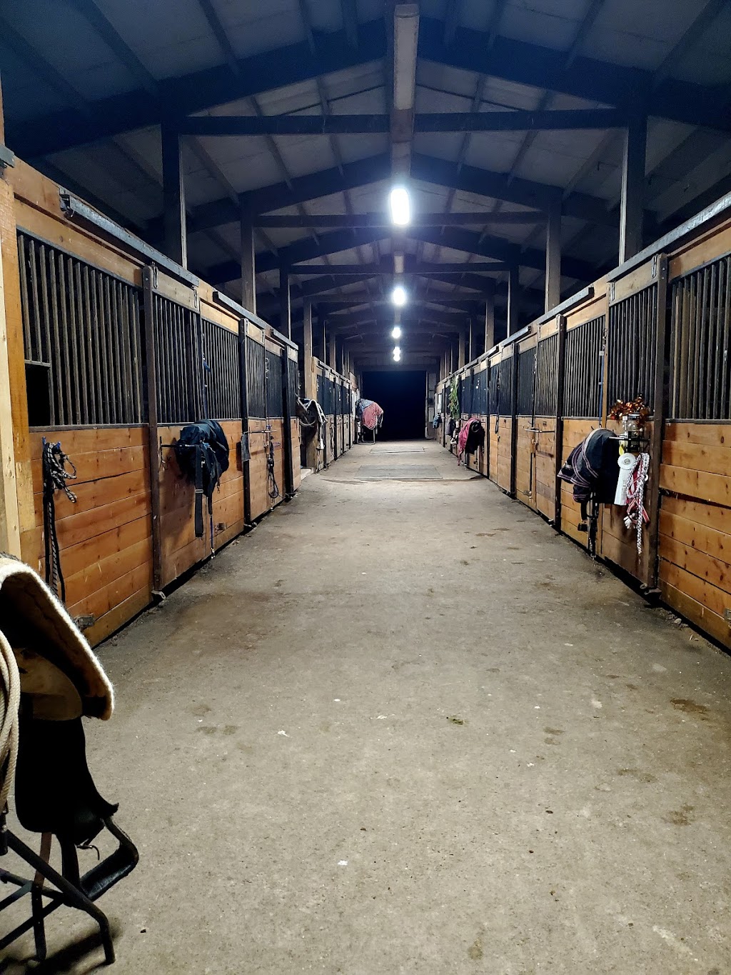 Catskill Equestrian Center | 118 Castle Rd, Catskill, NY 12414, USA | Phone: (518) 925-0095