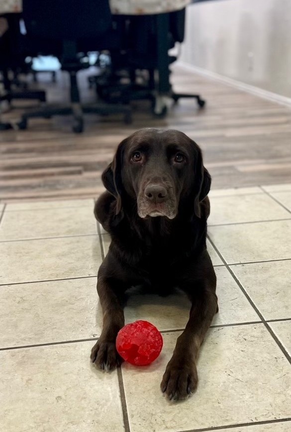 Dr. Luz C. Aguirre, MD - Paz Family HealthCare | 720 Magnolia Ave b1, Corona, CA 92879, USA | Phone: (951) 735-1712 Dr. Luz C. Aguirre, MD - Paz Family HealthCare | 720 Magnolia Ave b1, Corona, CA 92879, USA | Phone: (951) 735-1712