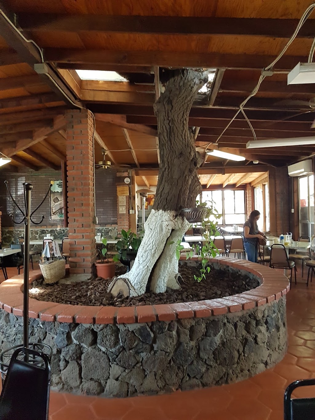 El Correcaminos | KM 93, México 3, 22766 Villa de Juárez, B.C., Mexico | Phone: 646 155 3101