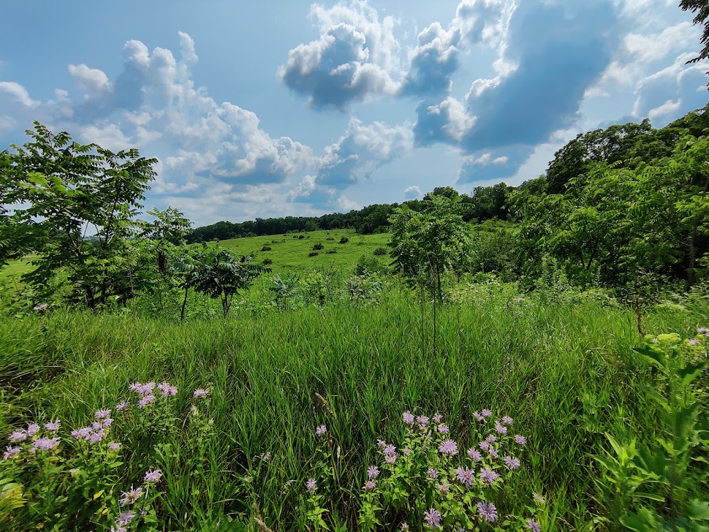 New Glarus Woods State Park | W5446 County Highway Nn, New Glarus, WI 53574, USA | Phone: (608) 527-2335