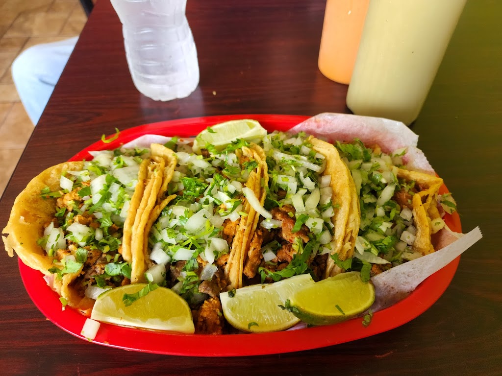 La Torre Taqueria | 1525 Washtenaw Ave, Ypsilanti, MI 48197, USA | Phone: (734) 905-7220