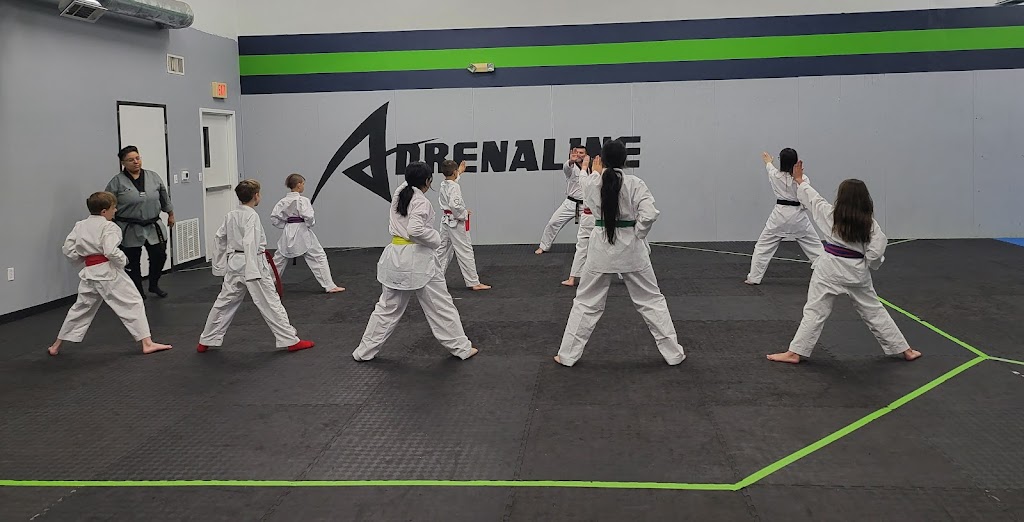 Adrenaline Taekwondo | 5220 W Vickery Blvd, Fort Worth, TX 76107, USA | Phone: (817) 808-0293