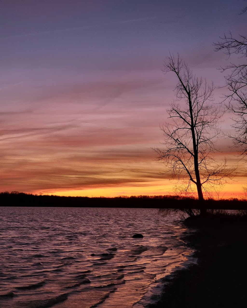 Friends of Alum Creek Dog Park | 3993 Hollenback Rd, Lewis Center, OH 43035, USA | Phone: (740) 548-4631