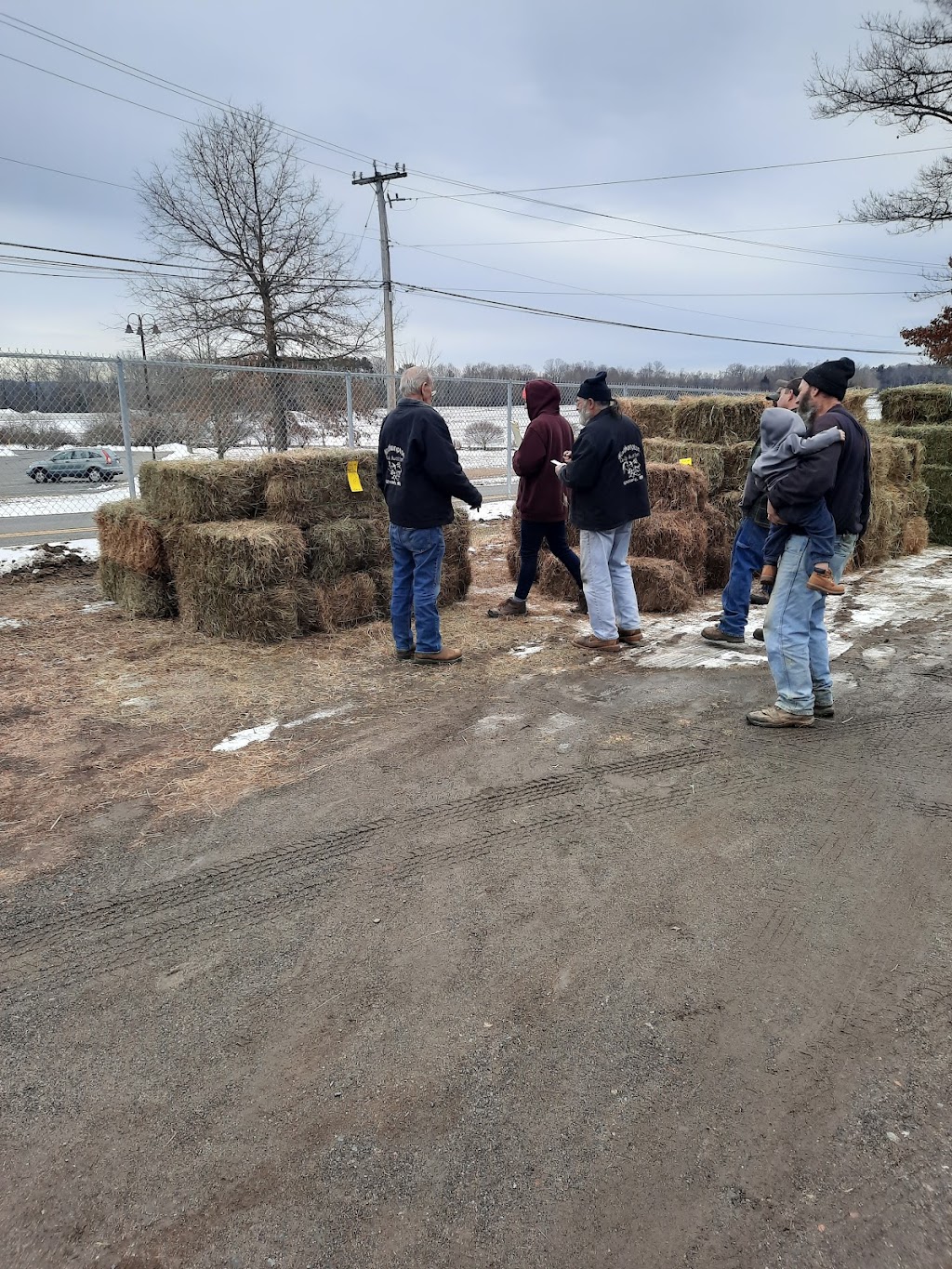 Northampton Co-Op Auction | 353 Long Plain Rd, Whately, MA 01093, USA | Phone: (413) 665-8774