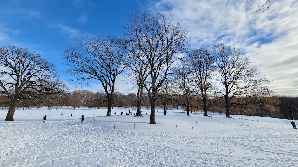 Prospect Park | Brooklyn, NY, USA | Phone: (718) 965-8951