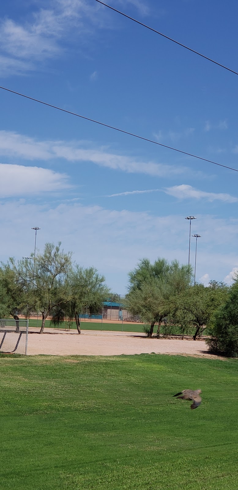 Skyline Practice Fields | Mesa, AZ 85208 | Phone: (480) 644-7529