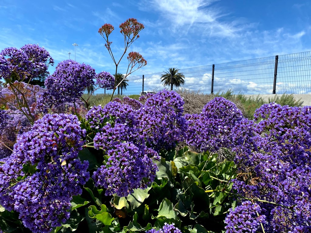 Judge John Sutter Regional Shoreline Parking | 210 Burma Rd, Oakland, CA 94607, USA | Phone: (888) 327-2757